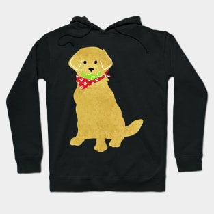 Cute Preppy Yellow Lab - Tennis Balls In Mouth Hoodie